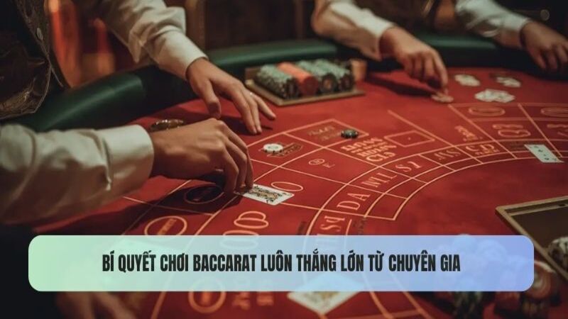 Cược Baccarat WW88 với tâm thế ổn định